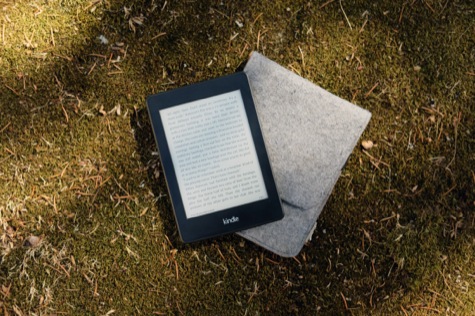 Photo of Kindle on grass