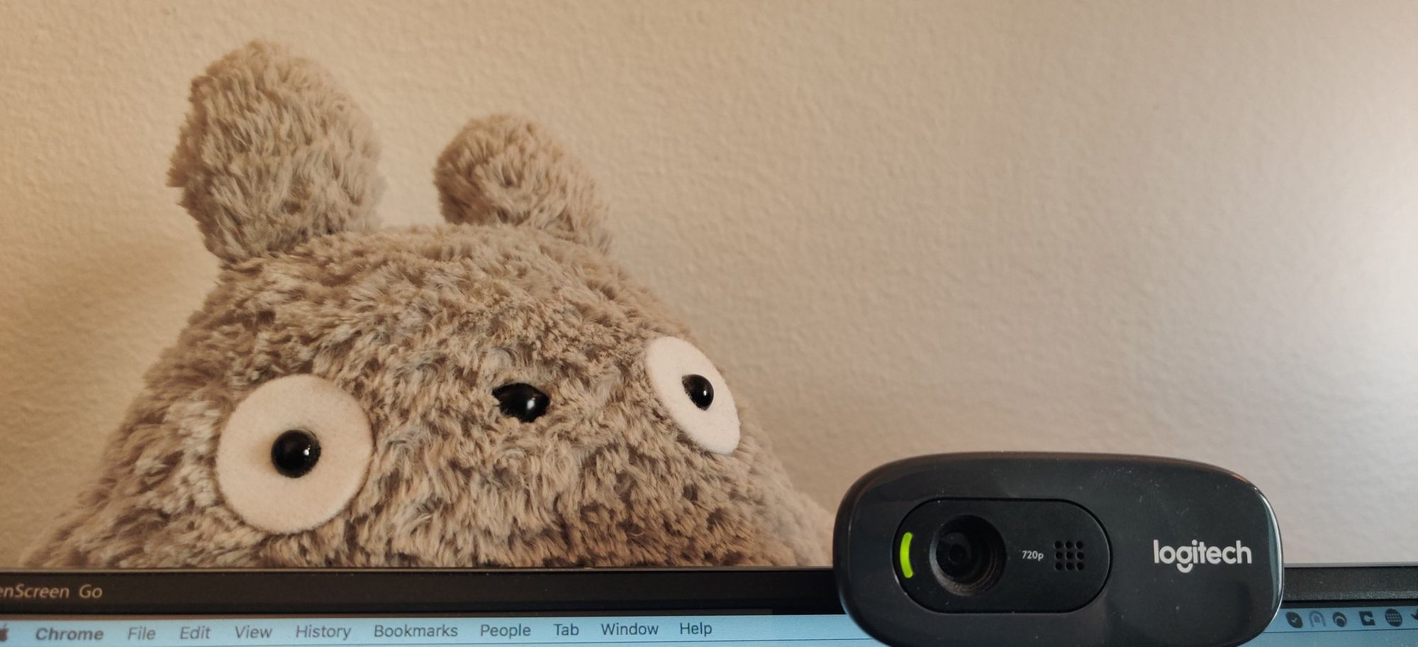 Plush Totoro sitting partially behind a screen and a webcam pointed towards the camera.