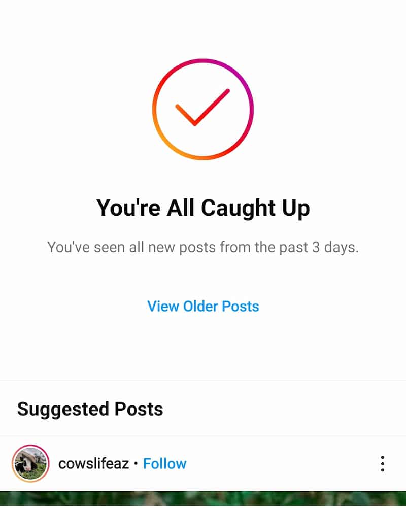 Instagram feed showing "You're All Caught Up" banner, followed by "Suggest Posts"