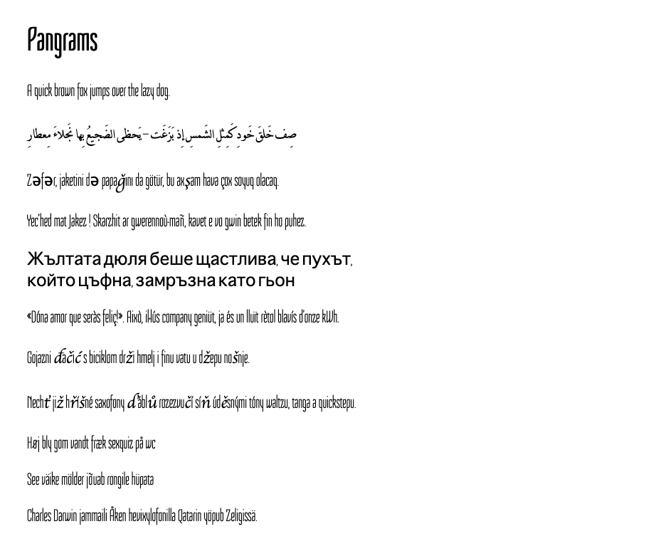 A list of pangrams in different languages in Sedgwick Ave Display, huge variance in letters even within an alphabet 